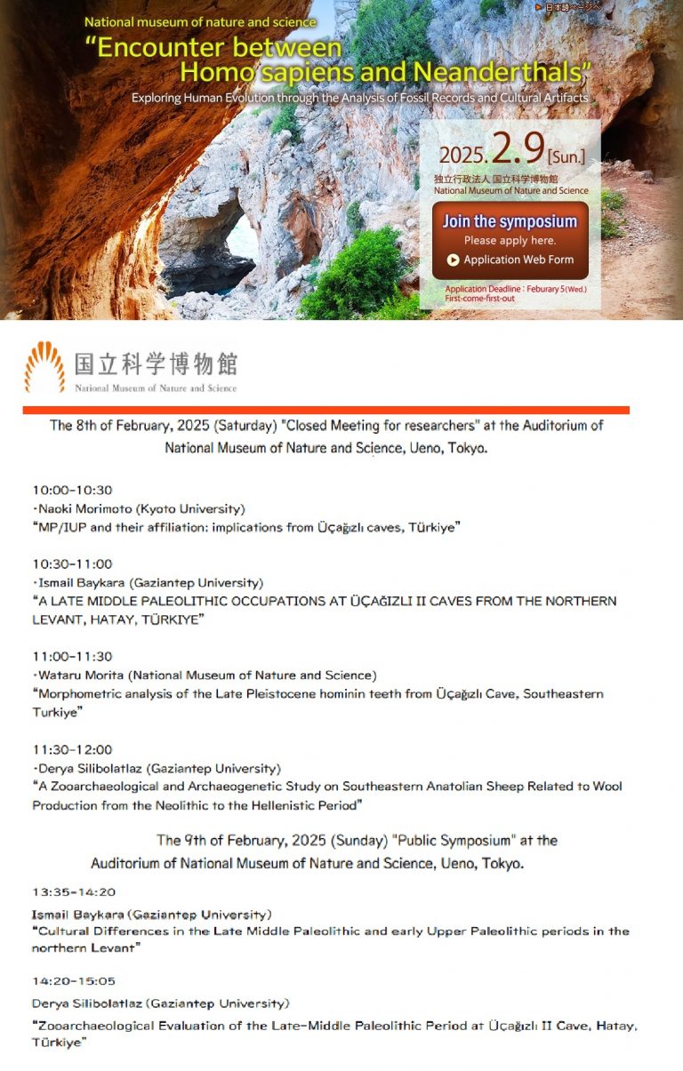 Encounters between Homo sapiens and Neanderthals: Exploring Human Evolution through the Analysis of Fossil Records and Cultural Artifacts
